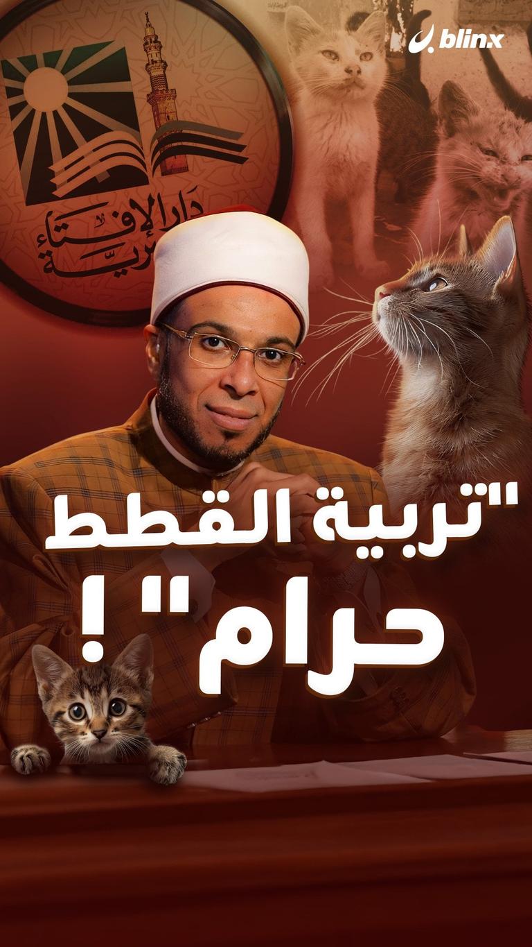 "تربية القطط حرام" !