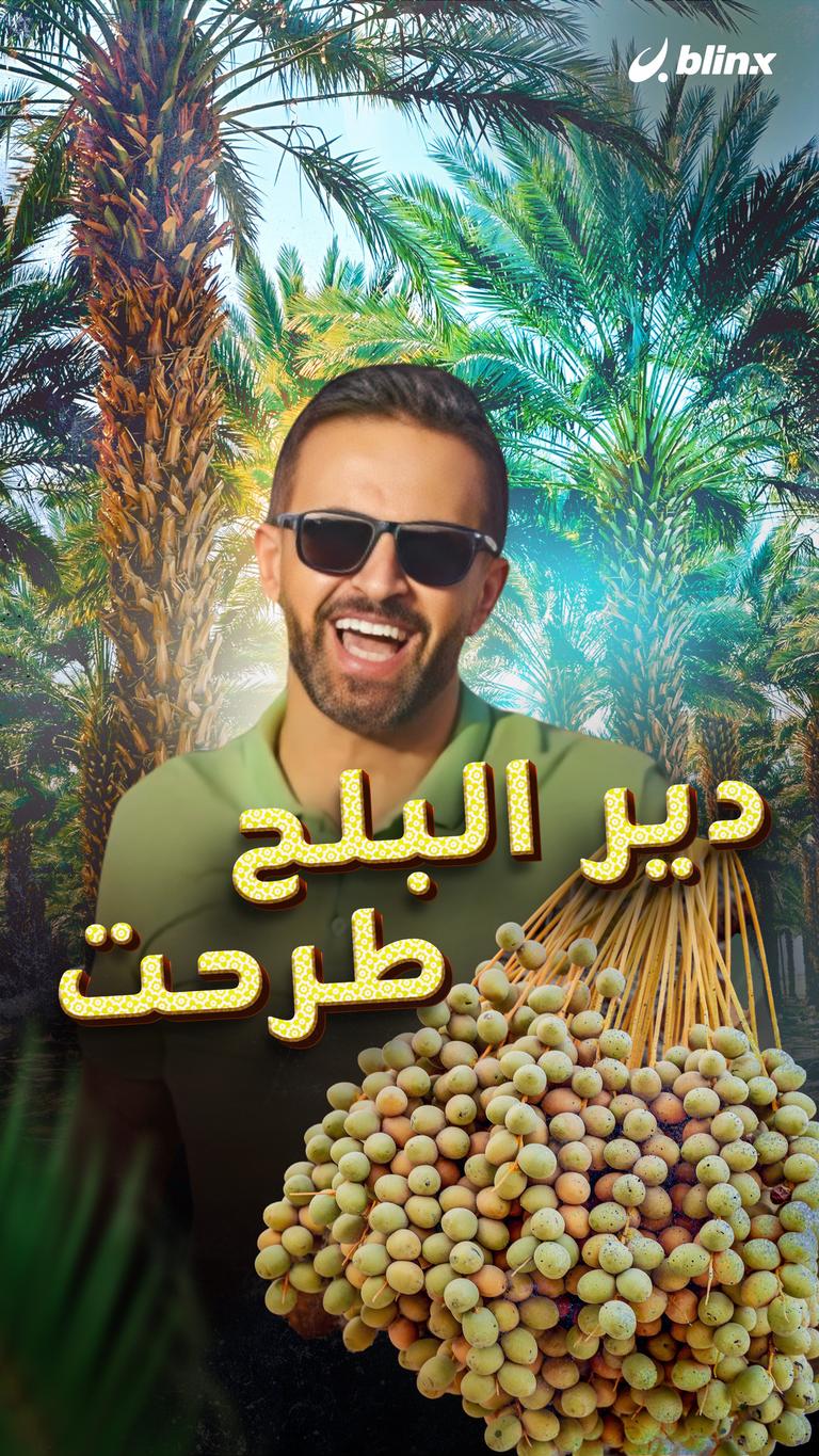 دير البلح طرحت