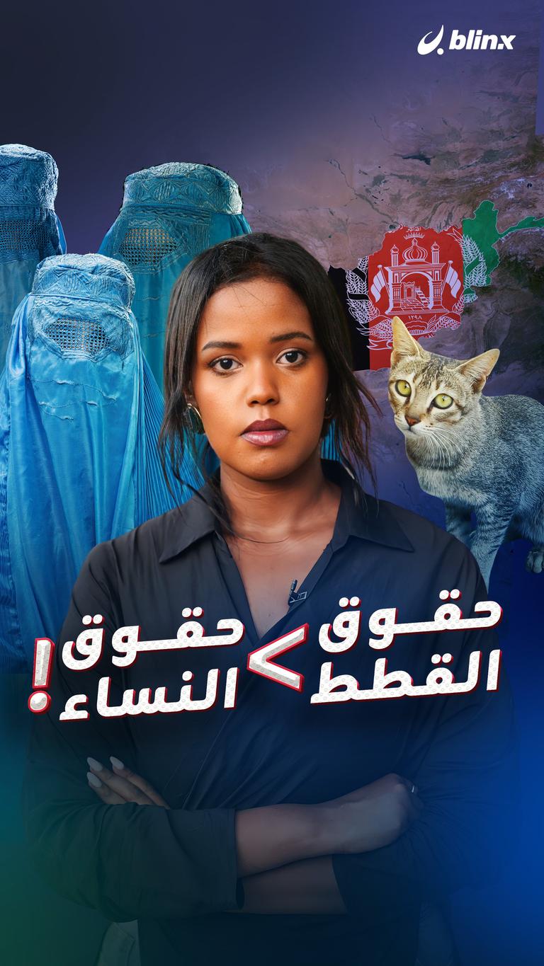 حقوق القطط > حقوق النساء!
