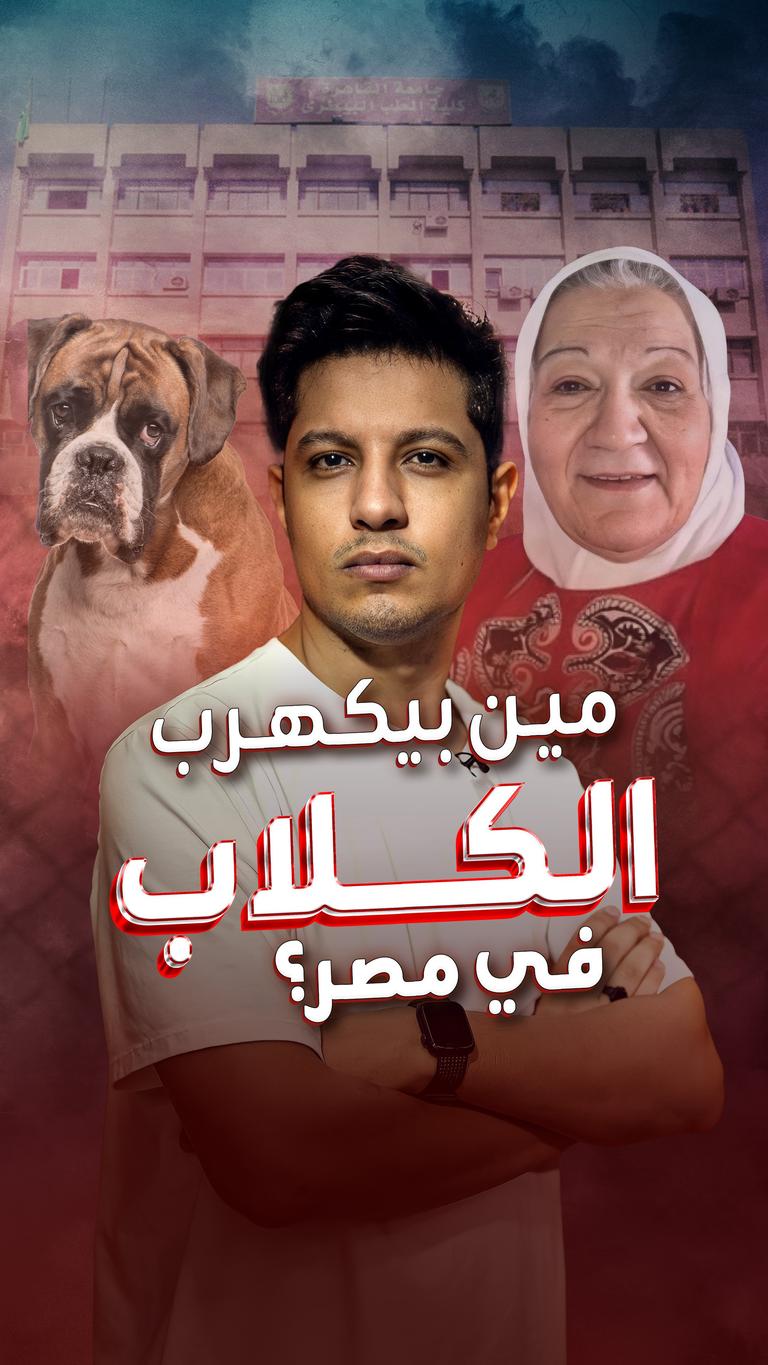مين بيكهرب الكلاب في مصر؟
