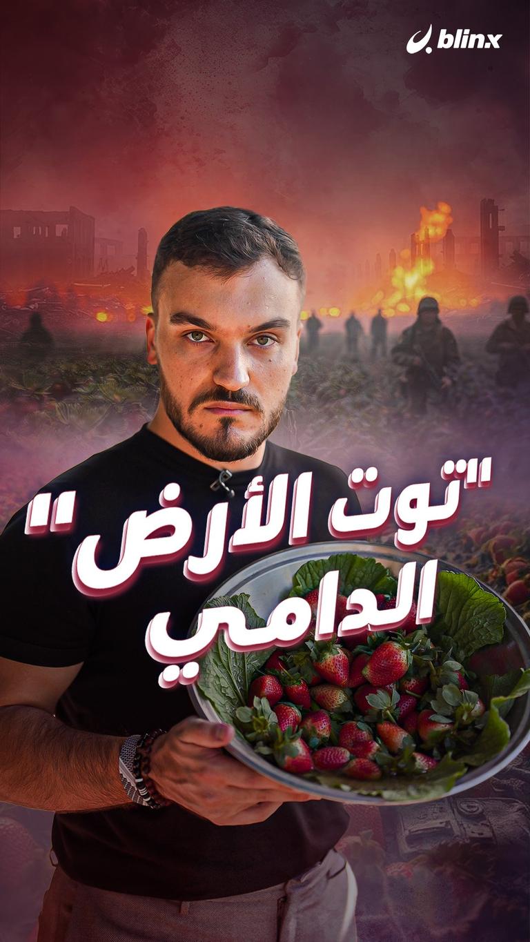"توت الأرض" الدامي