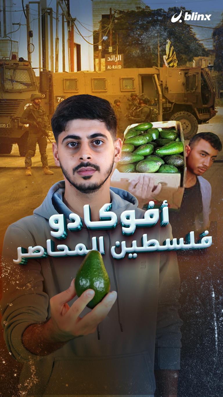 أفوكادو فلسطين المحاصر