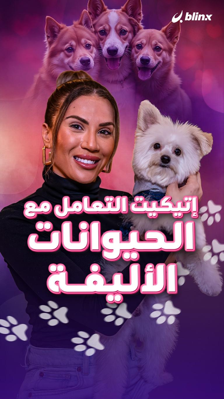 إتيكيت التعامل مع الحيوانات الأليفة