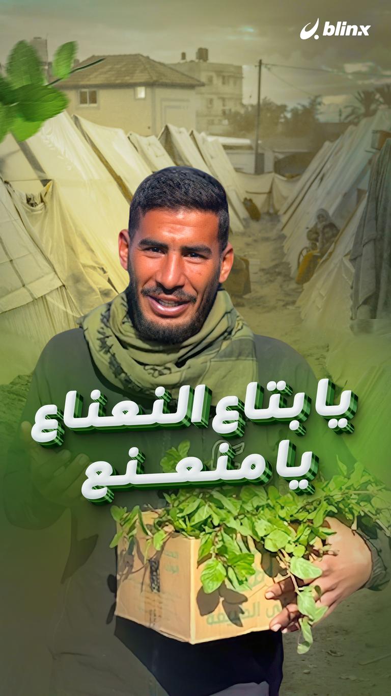 يا بتاع النعناع يا منعنع