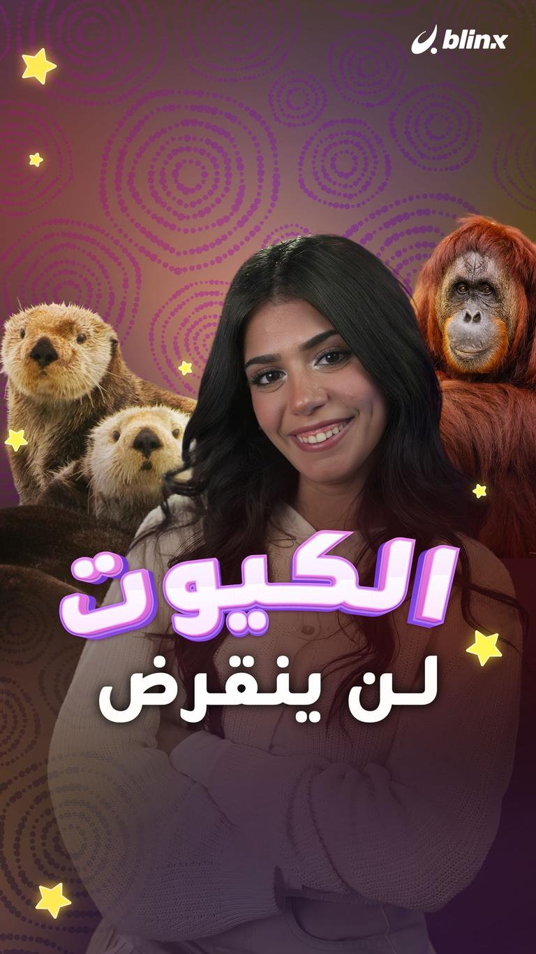 الكيوت لن ينقرض