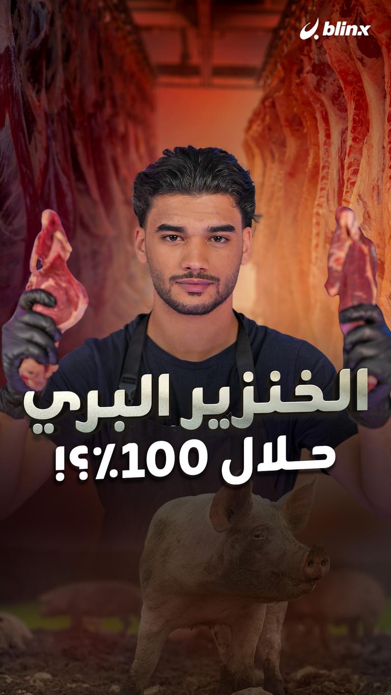 الخنزير البري حلال 100٪؟!