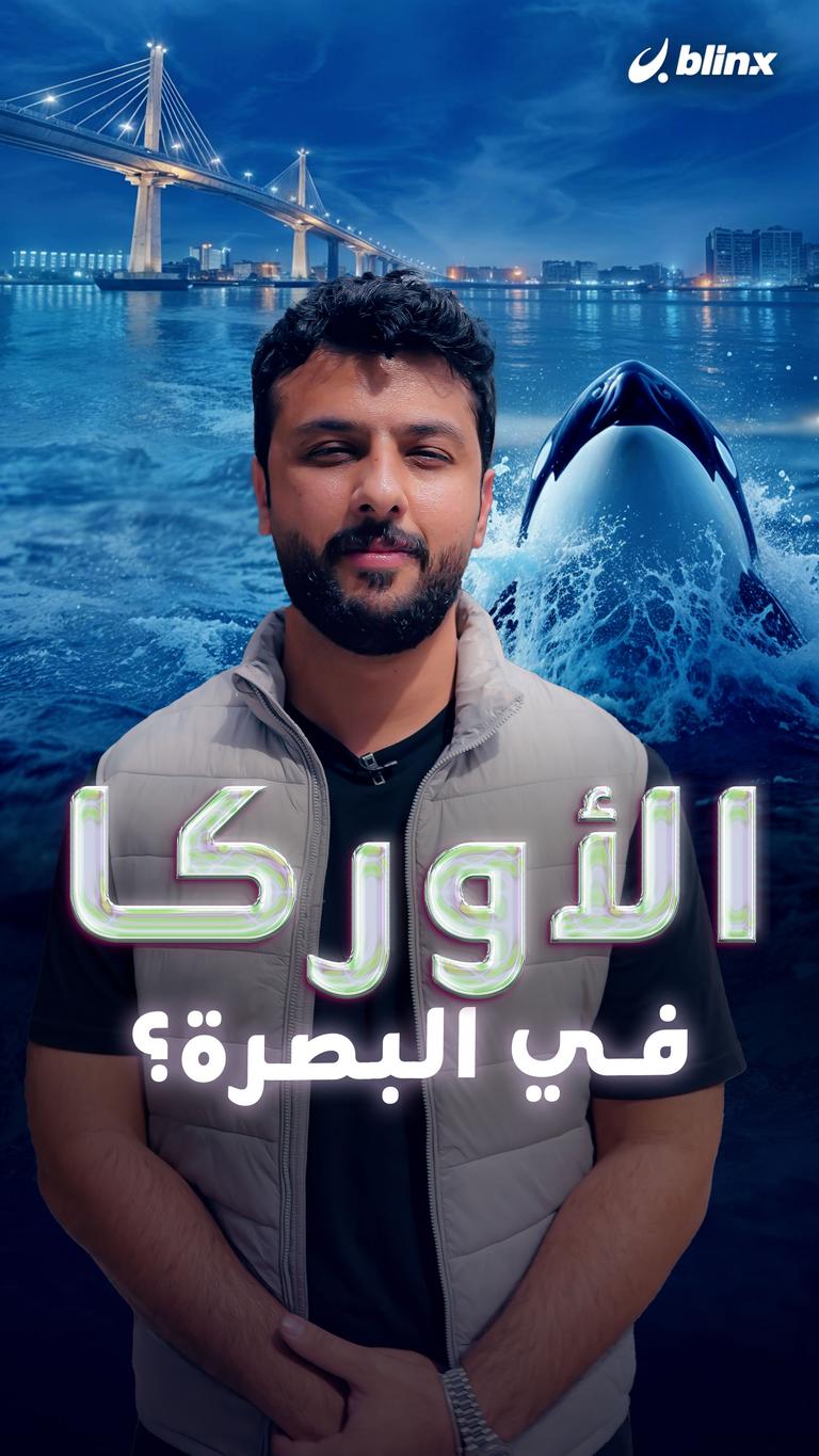 الأوركا.. في البصرة؟