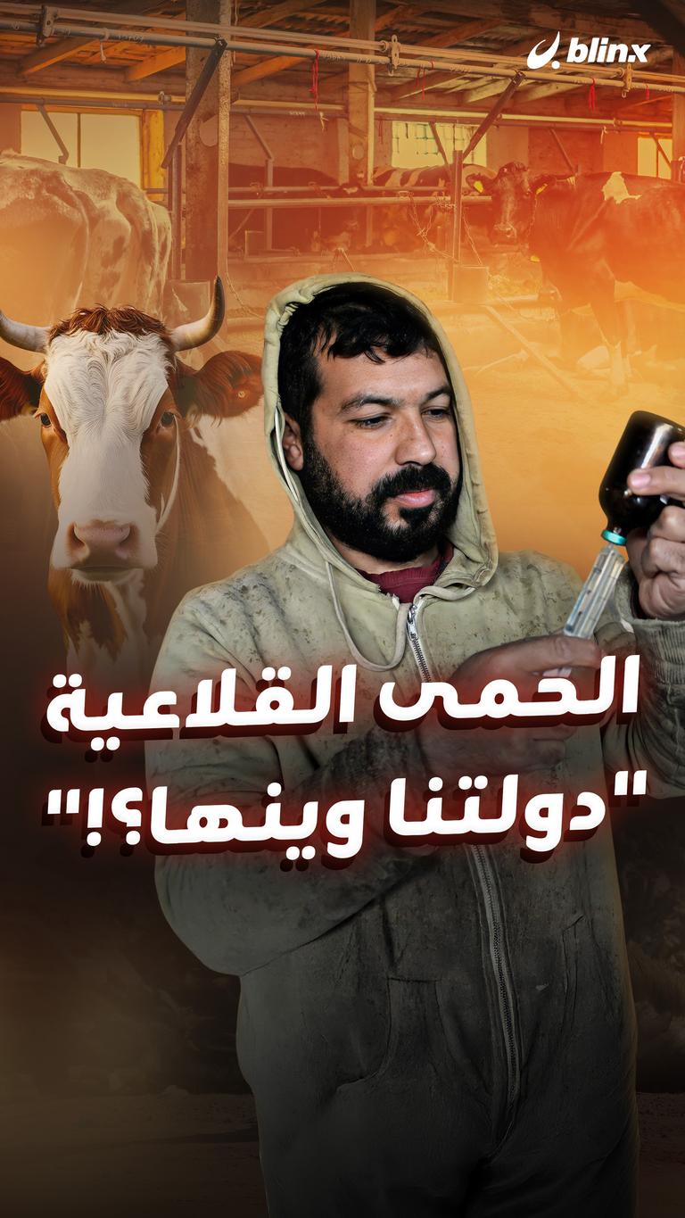 الحمى القلاعية "دولتنا وينها؟!"