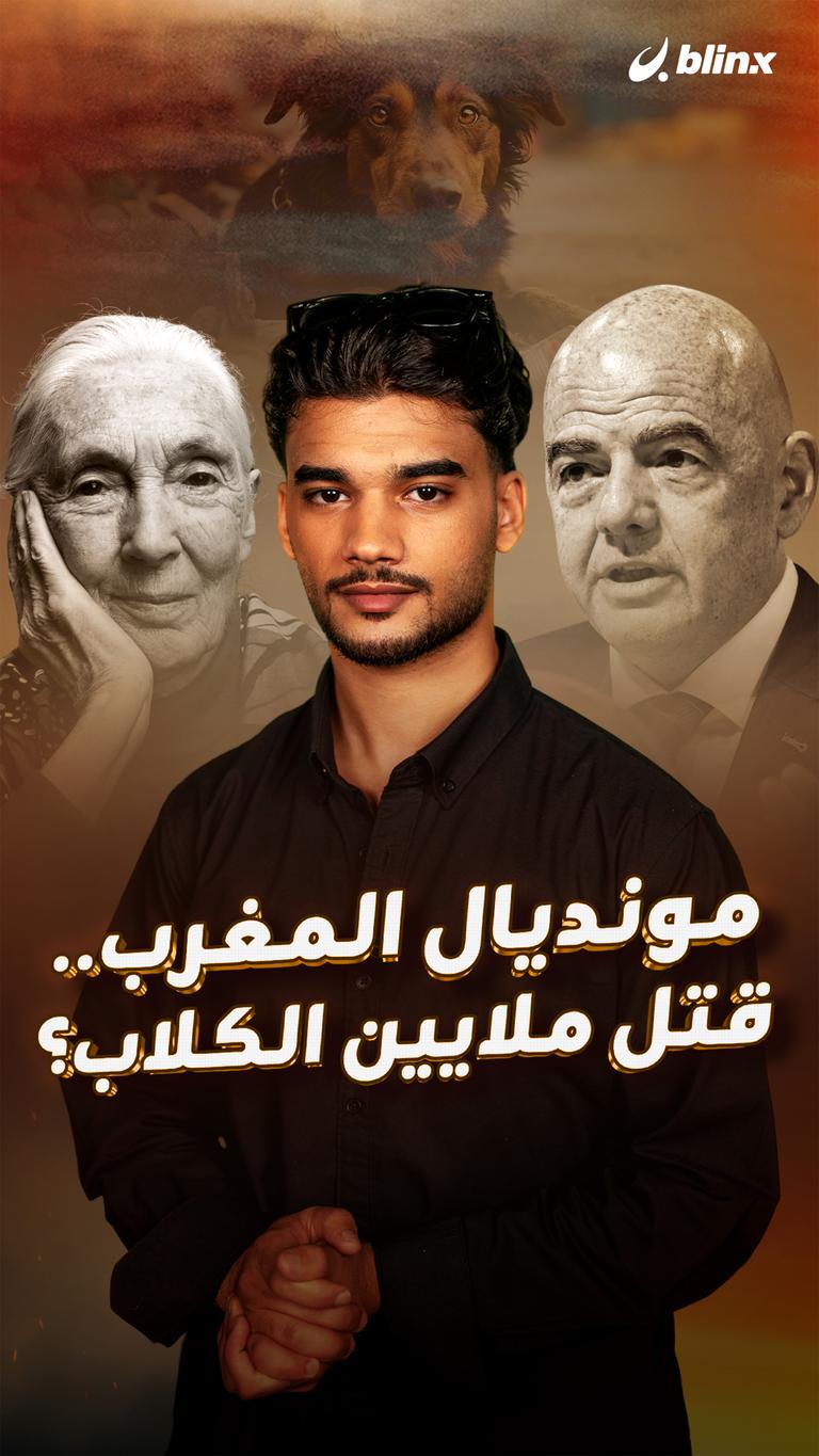 مونديال المغرب.. قتل ملايين الكلاب؟
