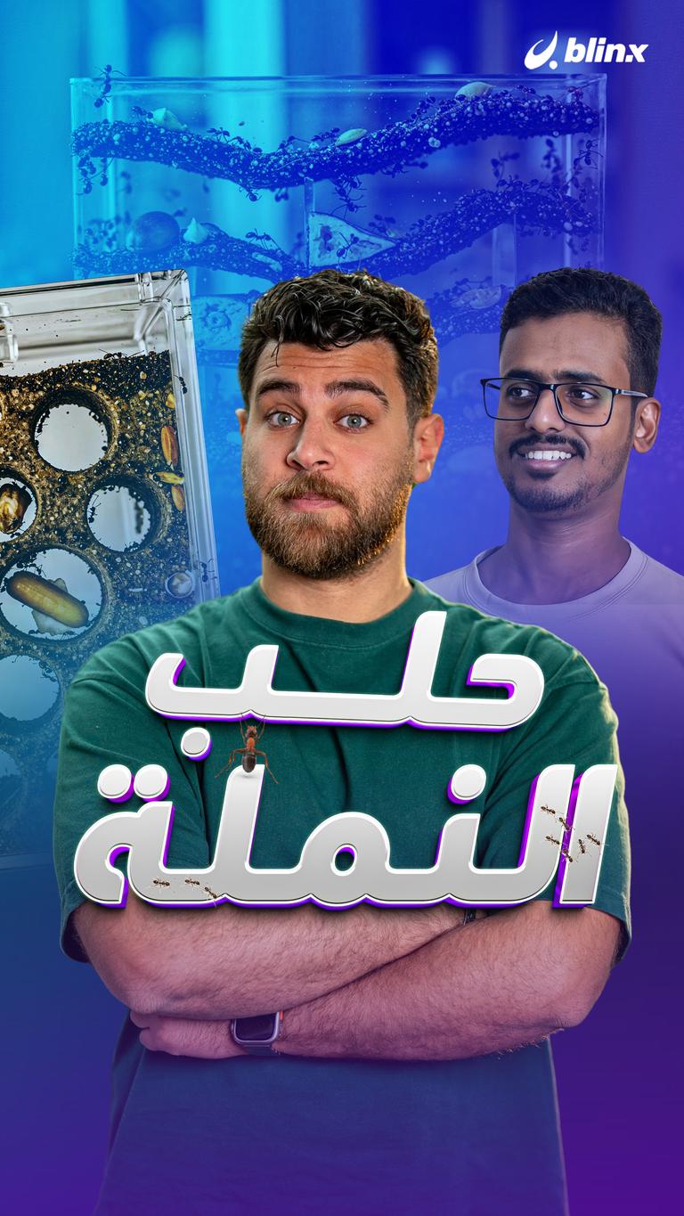 حلب النملة