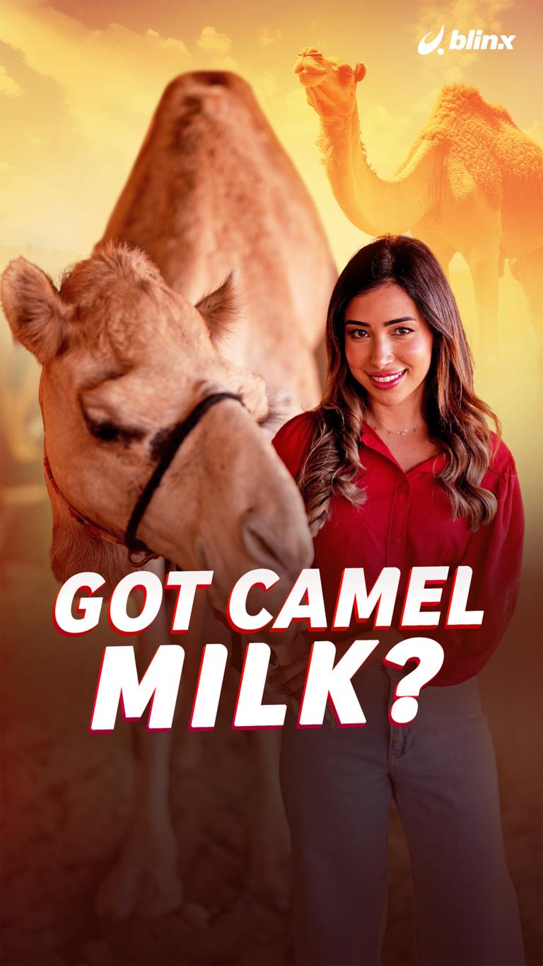 ?Got Camel Milk