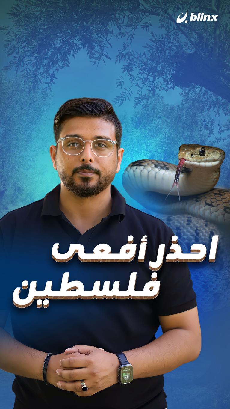 احذر أفعى فلسطين