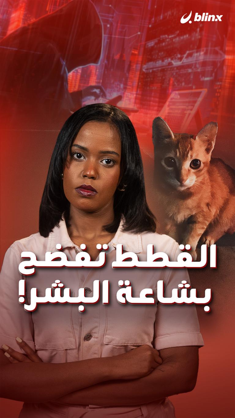 القطط تفضح بشاعة البشر!