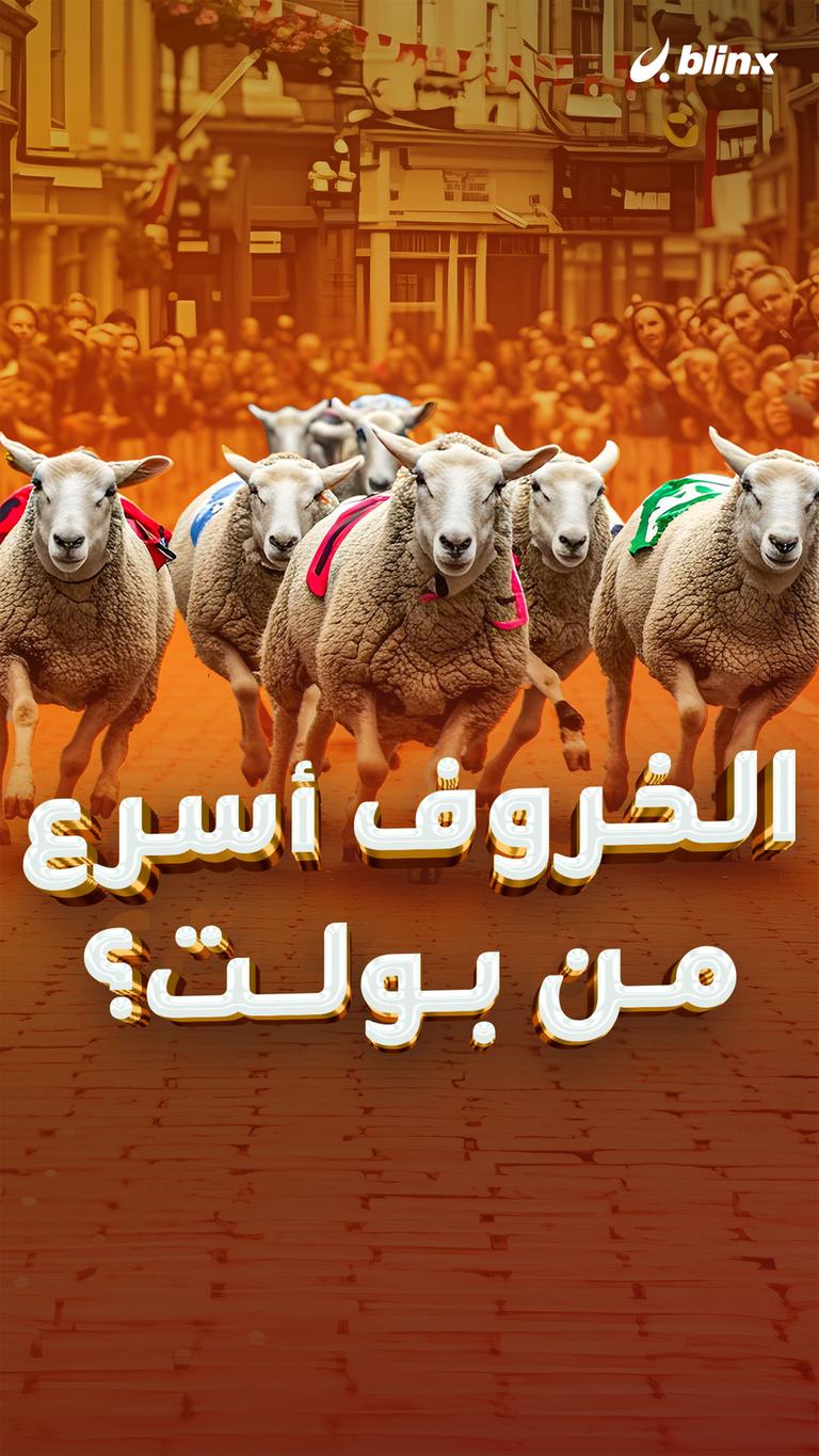 الخروف أسرع من بولت؟