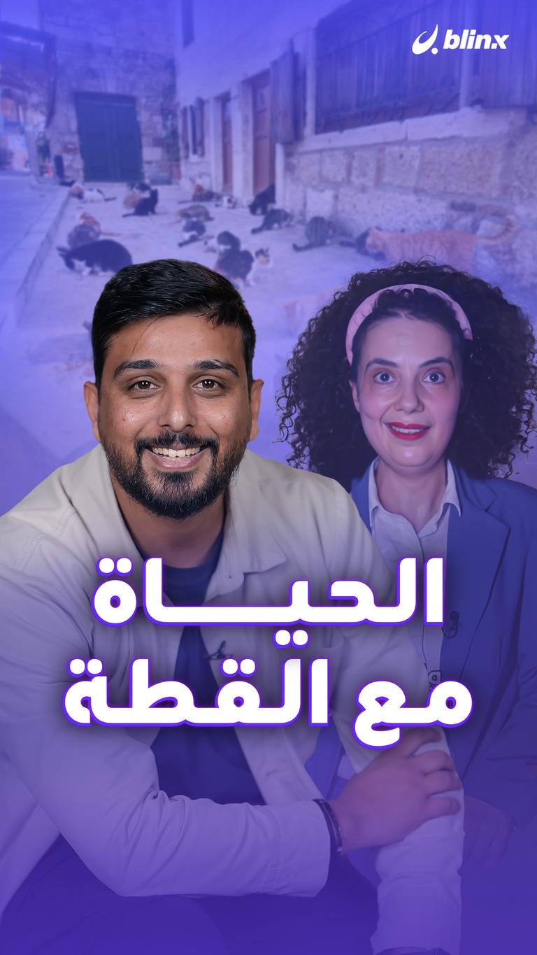 الحياة مع القطة