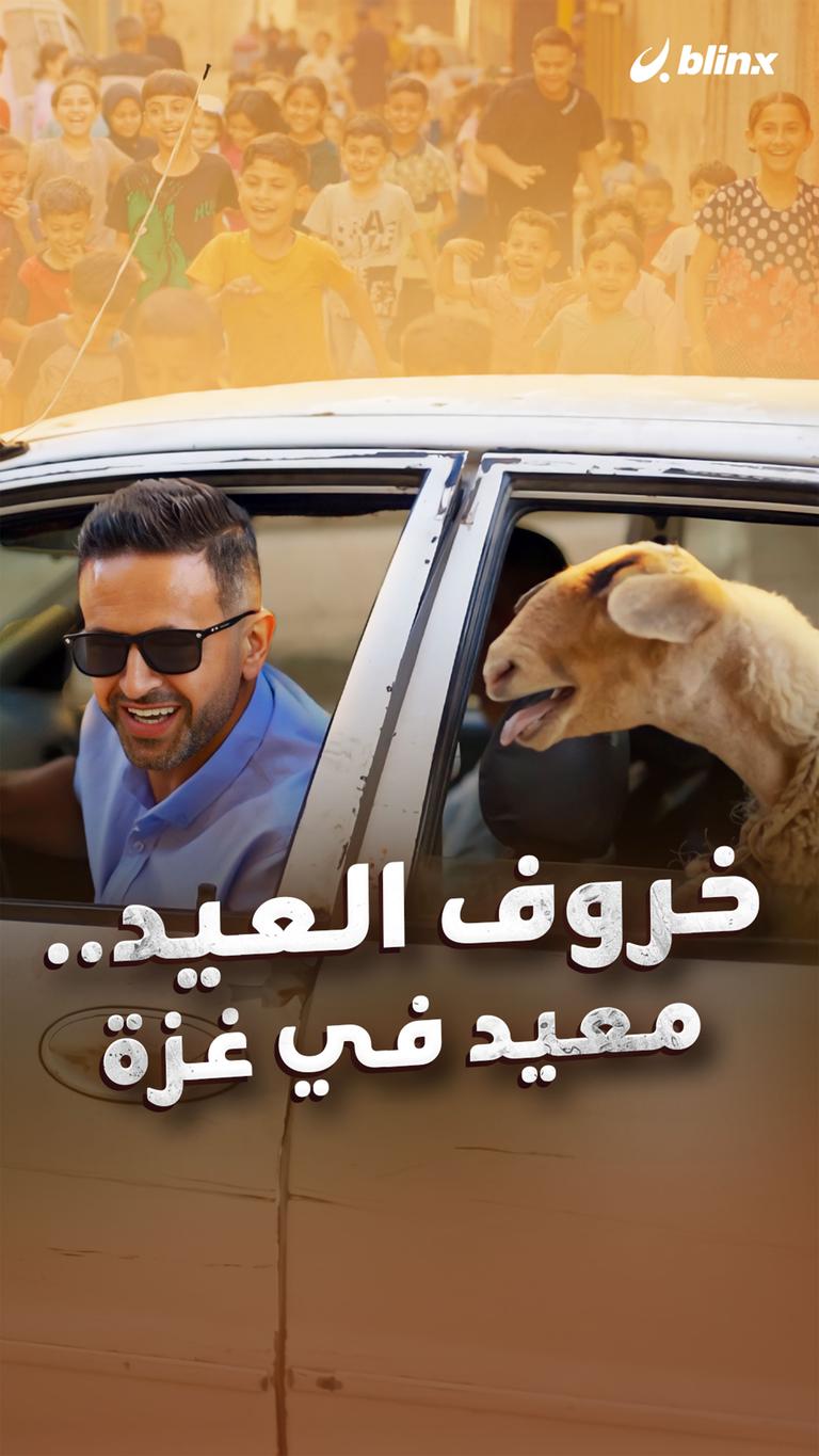 خروف العيد.. معيد في غزة