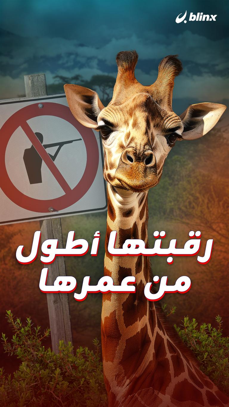 رقبتها أطول من عمرها