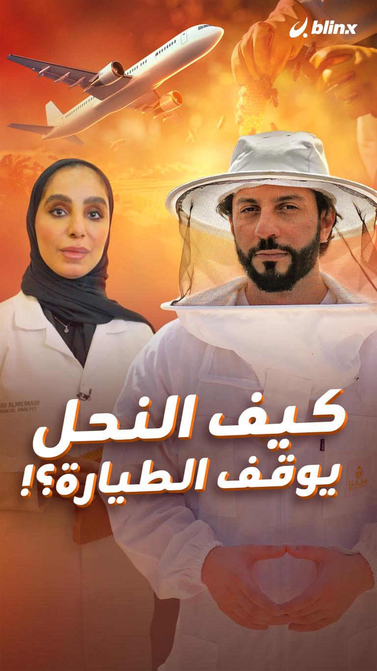كيف النحل يوقف الطيارة؟!