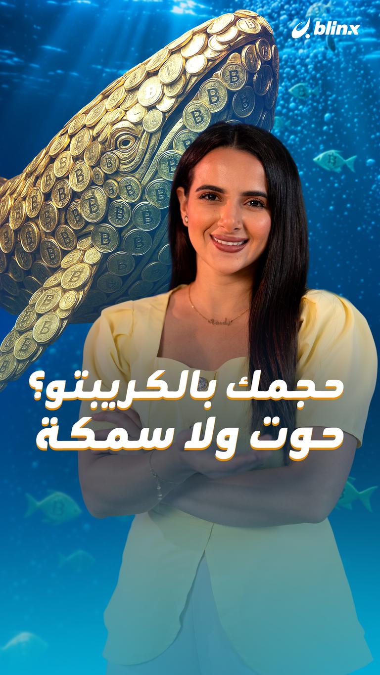 حجمك بالكريبتو؟ حوت ولا سمكة