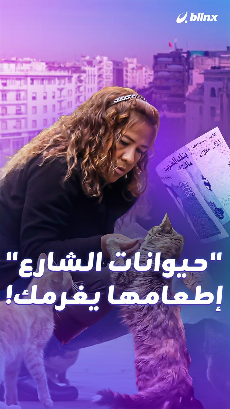 "حيوانات الشارع" إطعامها يغرمك!