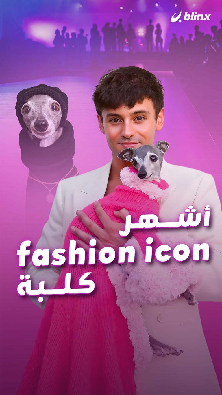 كلبة   أشهرfashion icon