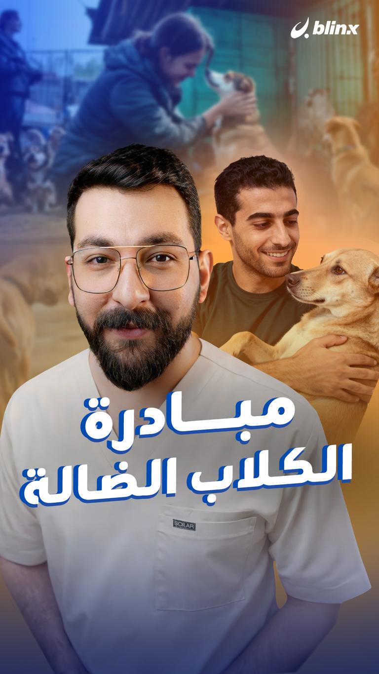مبادرة الكلاب الضالة