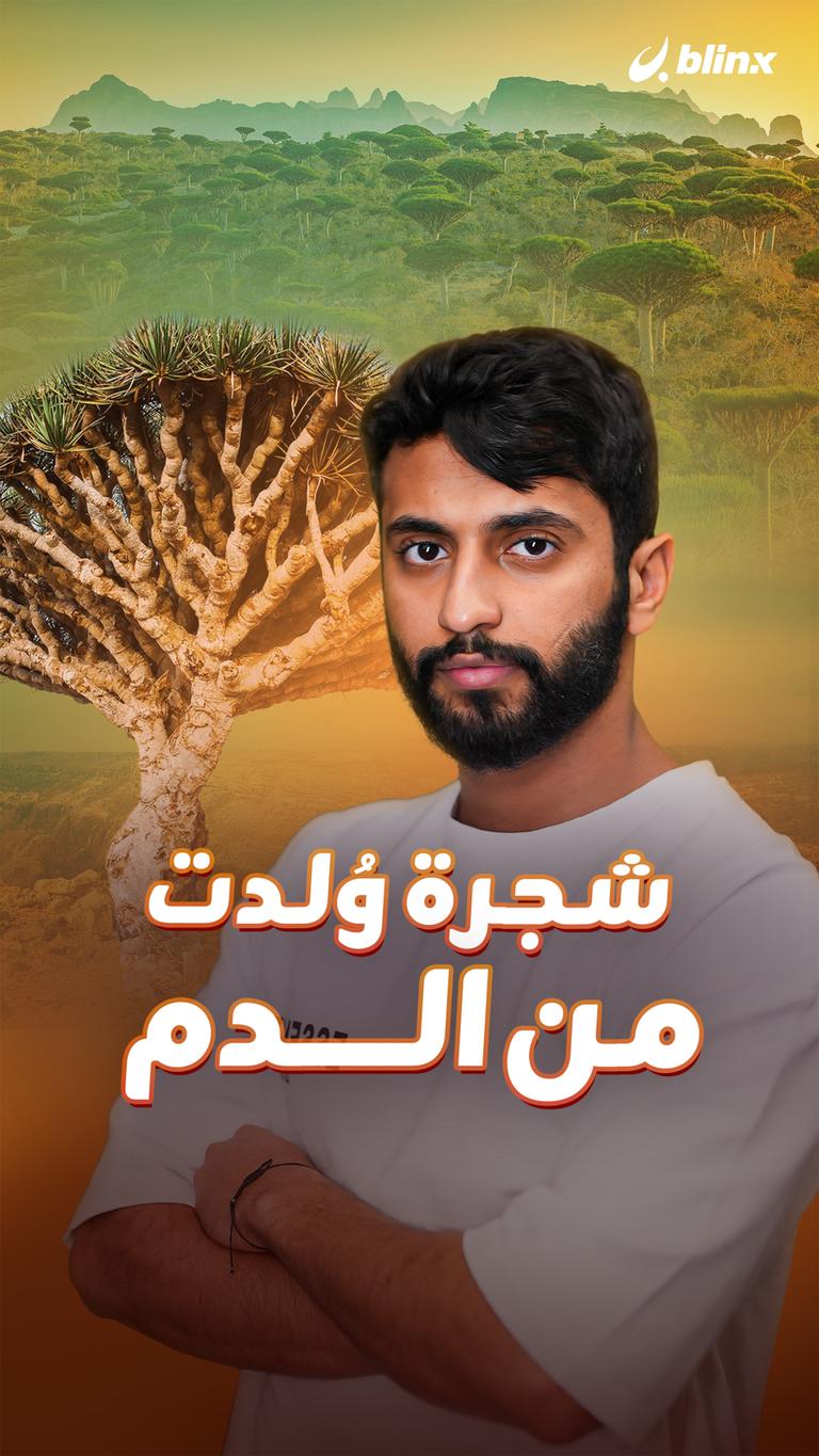 شجرة وُلدت من الدم