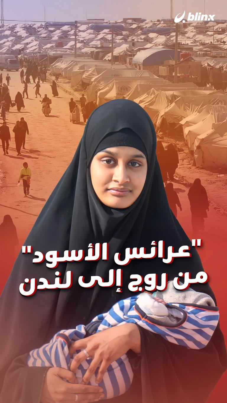 "عرائس الأسود" من روج إلى لندن
